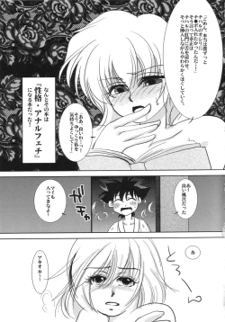 Page 12 of THE AMERU