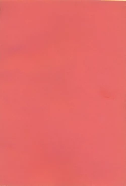 Page 4 of Koi Suru Cherry