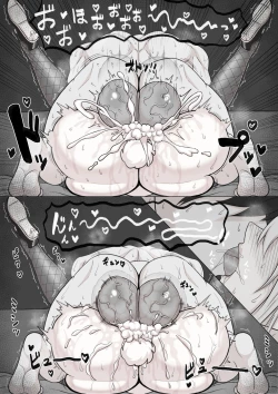 Page 3 of Rabbit Impregnation