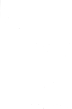 Page 2 of Ikebukuro Heiwajima Tours