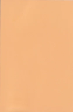 Page 4 of Ikebukuro Heiwajima Tours