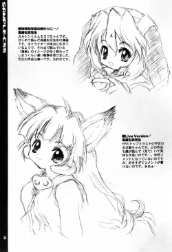 Page 25 of SAMPLE CSS