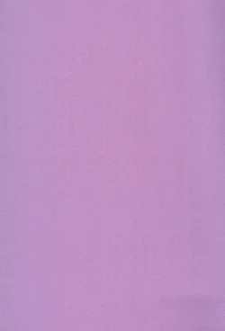 Page 29 of Saidaikyuu no Munasawagi