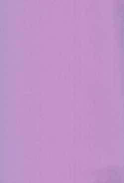 Page 3 of Saidaikyuu no Munasawagi