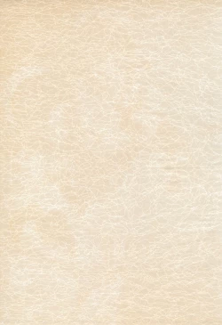 Page 3 of BABELCAPTOR