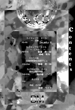 Page 6 of BABELCAPTOR