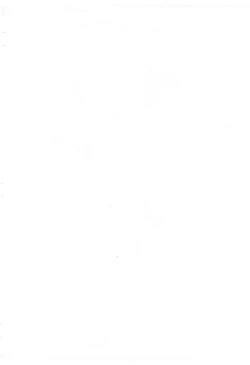 Page 2 of Kafun to Kiseichuu to Majo Minarai.