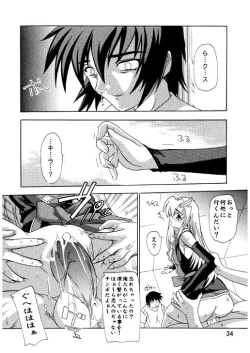 Page 31 of Lacus Destiny ~ Soushuuhen 3