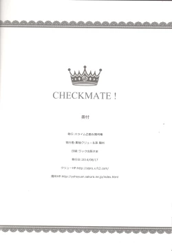 Page 26 of CHECKMATE!