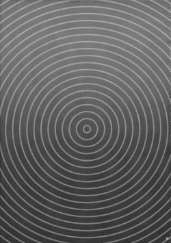 Page 20 of Zettai Saimin Nante Kakaranai Kuma! | There's Absolutely no way Kuma could be Hypnotized!