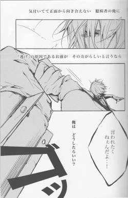 Page 25 of [AND-H (Kumino You)] -Toubou Ken Yume- (Durarara!!)