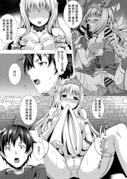 Page 6 of Seidou Hero 1 Seiken no Yuusha da to Omottetara Seiken no Yuusha datta Ken ni Tsuite
