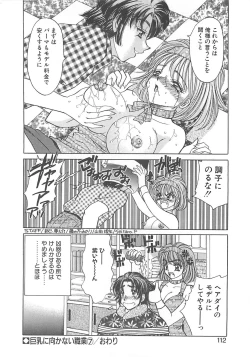 Page 111 of Kyonyuu ni Mukanai Shokugyou - not Suited be Occupation