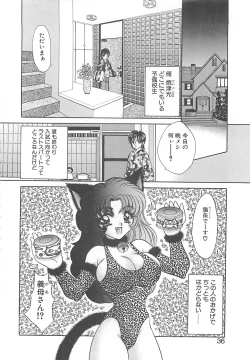 Page 35 of Kyonyuu ni Mukanai Shokugyou - not Suited be Occupation