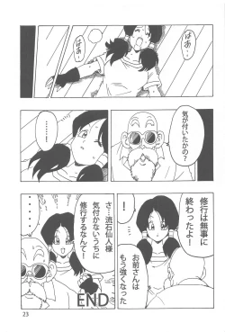 Page 24 of Videl LOVE