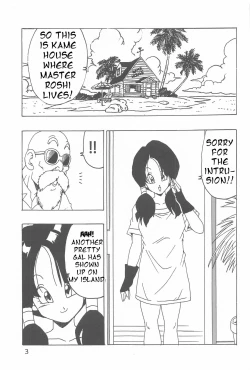 Page 4 of Videl LOVE