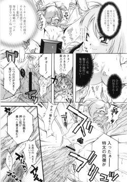 Page 14 of Otome Gokaichou