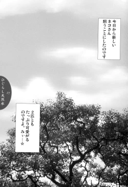 Page 26 of Higurashi Tennensui