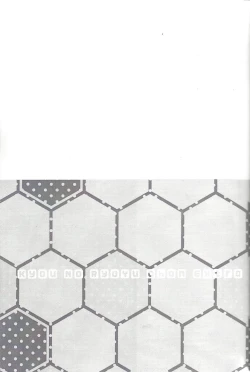 Page 4 of Kyō no RyōYū-chan ekusutora.