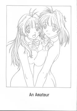 Page 2 of an amateur VOL.1