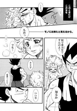 Page 102 of Bulma's OVERDRIVE!