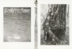 Page 2 of Dual Symphony