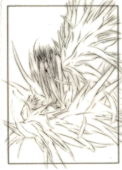 Page 211 of Megurikuru Haru 2