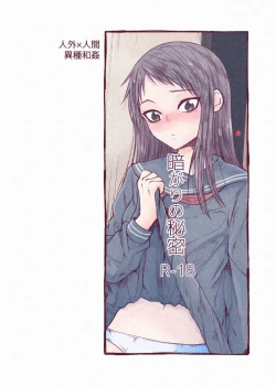 Page 1 of The Secret of the Darkness