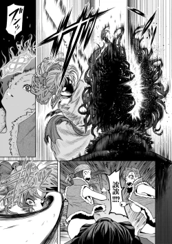 Page 46 of 蔷薇园传奇 01-03 Chinese