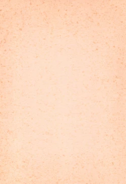 Page 4 of BRAID ON BLADE The Secondary Edition