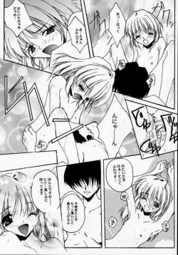 Page 31 of Geschwister