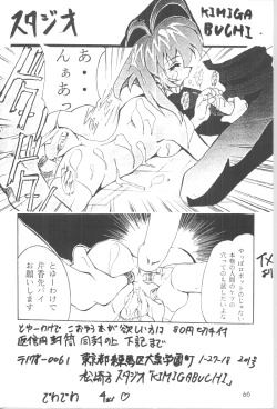 Page 65 of DIGITALIAN