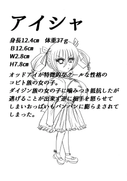 Page 55 of Tsumemono