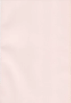 Page 11 of Imouto no Ana