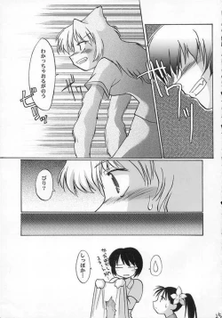 Page 23 of Heisei Reiiki - Wunu Weiyuan Zhunbei Shì