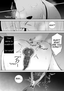 Page 43 of Watashi-tachi no Ie ni Pet ga Yattekita | A Pet Came to Our House