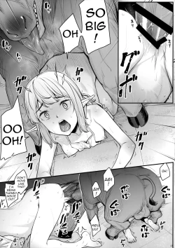 Page 15 of Elf Midare Midara | Disheveled and Licentious Elf