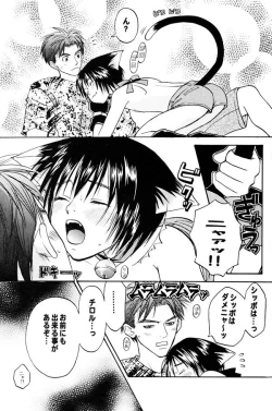 Page 11 of Nekomimi Shounen