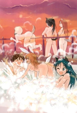 Page 14 of Shippo no Ura Shashinshu 501