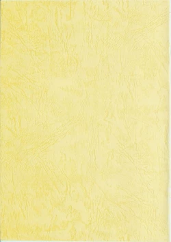 Page 2 of harvest Magic