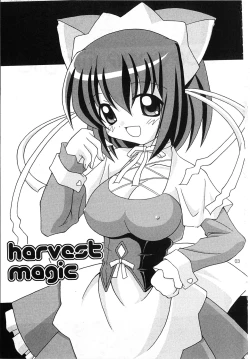 Page 3 of harvest Magic