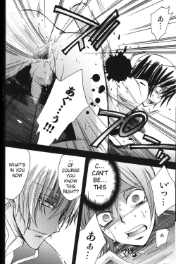 Page 20 of animax r2