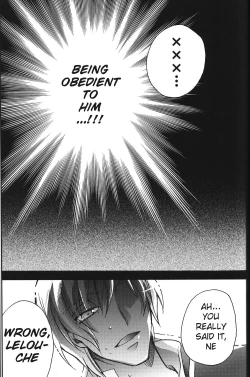 Page 27 of animax r2