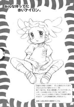 Page 17 of Chinkusha EX