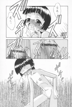 Page 17 of Botsugen no Arashi