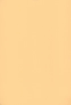 Page 33 of cherokee works for 20th century