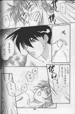 Page 29 of Tentou Mushi No Senba
