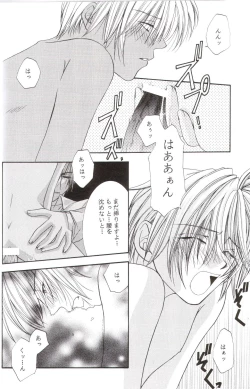 Page 27 of Kanaria wa Tsuki to Utau II