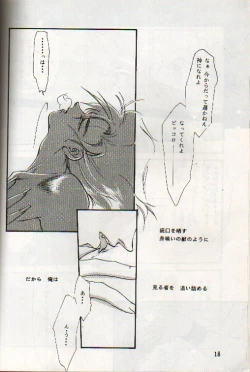 Page 17 of Kuuchuu Teien VOL.4