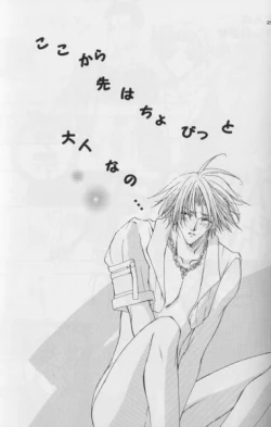 Page 26 of Karasu no Mado